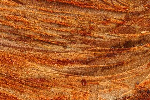 Wood  texture background. Stock Photos