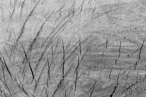 Wood  texture background. Stock Photos