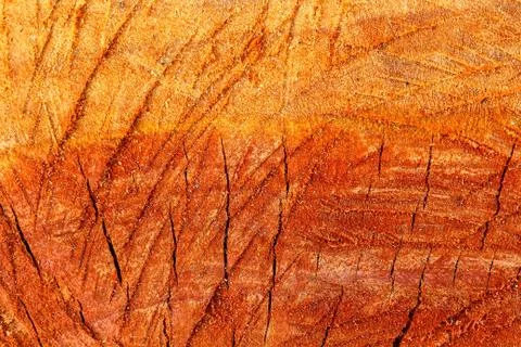 Wood  texture background. Stock Photos