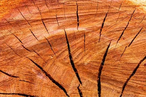 Wood  texture background. Stock Photos