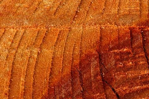 Wood  texture background. Stock Photos