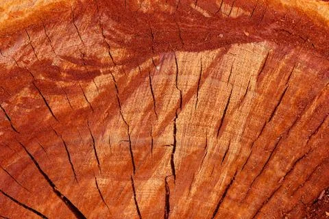 Wood  texture background. Stock Photos