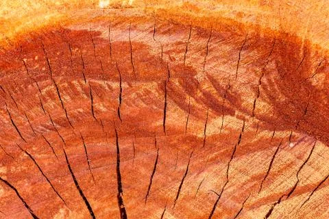 Wood  texture background. Stock Photos