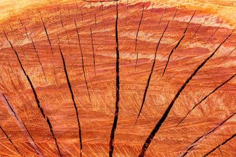 Wood  texture background. Foto stock