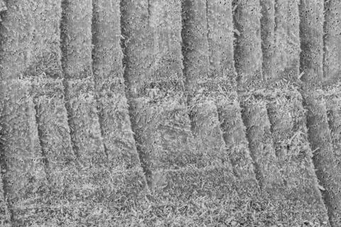 Wood  texture background. Stock Photos