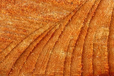 Wood  texture background. Stock Photos