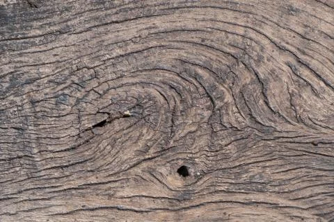 Wood texture. background Stock Photos