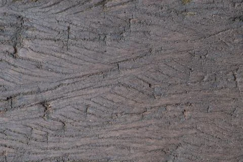 Wood texture. background Stock Photos