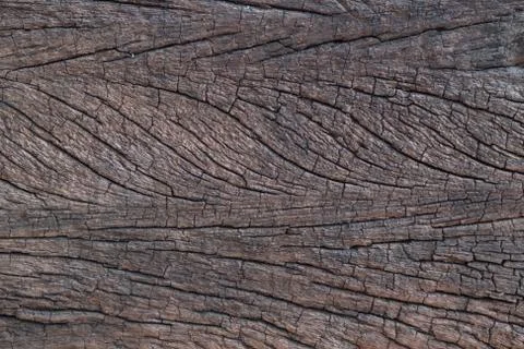 Wood texture. background Stock Photos