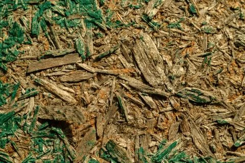 Wood texture, background Stock Photos