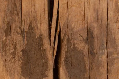Wood texture background Stock Photos