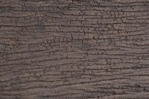 Wood texture. background Stock Photos