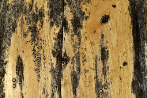 Wood texture background Foto stock