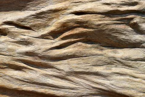 Wood texture background Foto stock