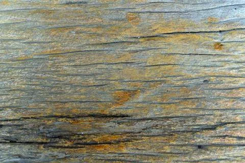Wood texture background Foto stock