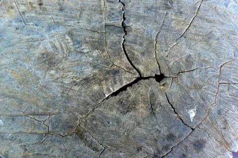 Wood texture background Foto stock