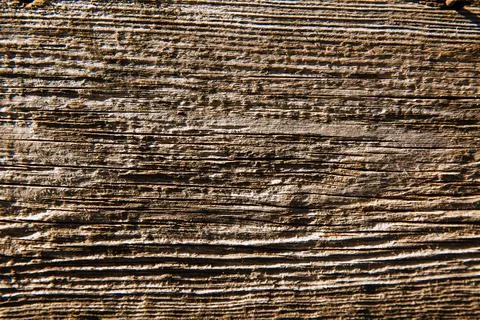 Wood texture background. Foto stock