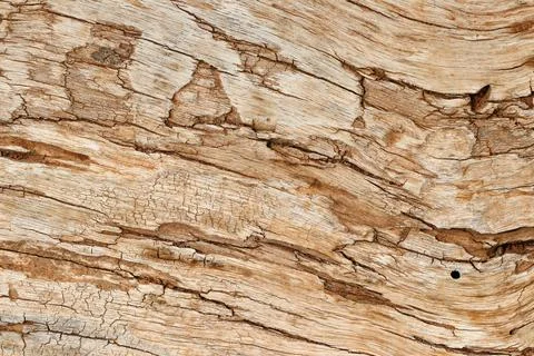 Wood texture background 库存照片