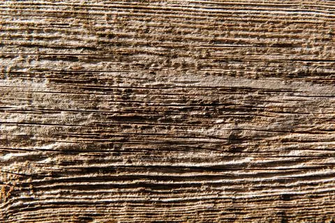 Wood texture background. Stock Photos