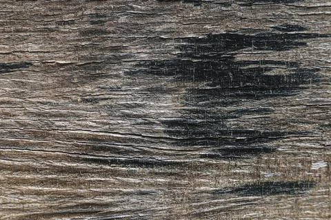 Wood texture background Stock Photos