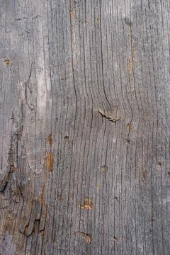 Wood texture background Stock Photos