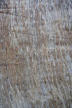 Wood texture background Stock Photos