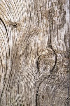 Wood texture background Stock Photos