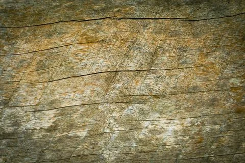 Wood texture background Stockfoto's