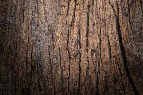 Wood texture background. Foto stock