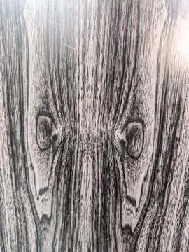 A wood texture for the background. Stock Photos