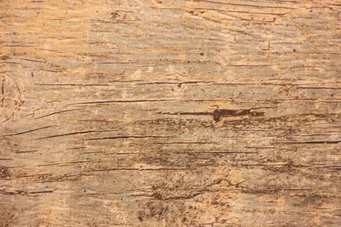 Wood texture background surface with old natural pattern Stock Photos