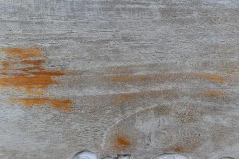 Wood texture background, surface with old natural pattern Stock Photos