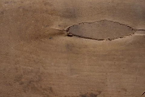 Wood texture background surface with old natural pattern. Texture of wood bac Stock Photos