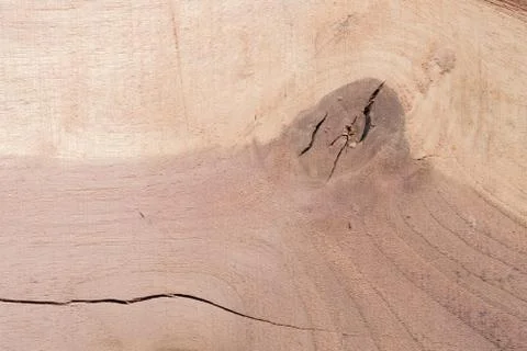 Wood texture background surface with old natural pattern. Texture of wood bac Stock Photos