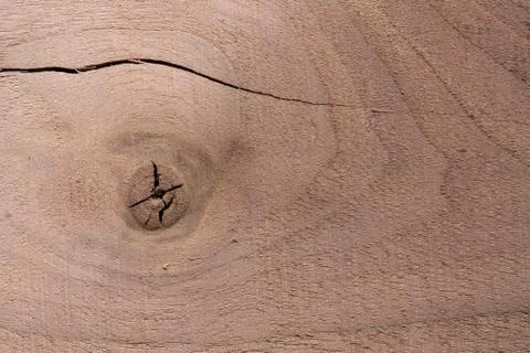 Wood texture background surface with old natural pattern. Texture of wood bac Stock Photos