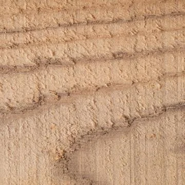 Wood texture background surface with old natural pattern. Texture of wood bac Stock Photos