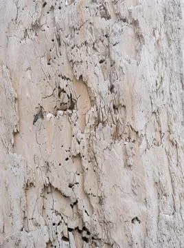 Wood texture background surface old natural pattern Stock Photos