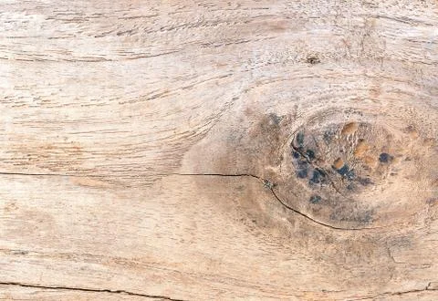 Wood texture close-up background Stock Photos