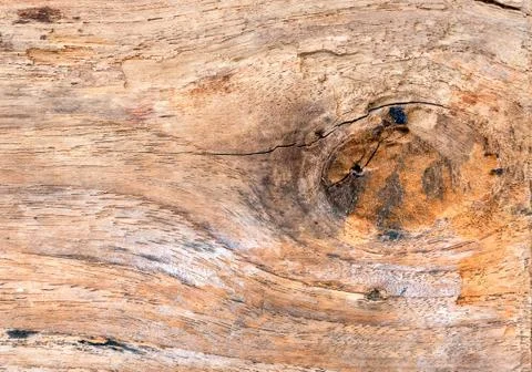 Wood texture close-up background Stock Photos
