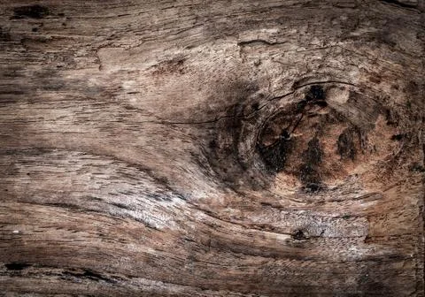 Wood texture close-up background Stock Photos