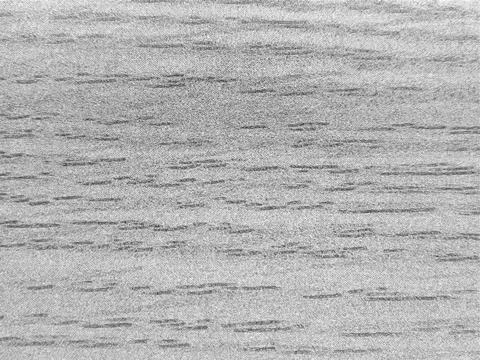 Wood texture close macro view, wooden natural background. Pencil drawn sket.. Stock Photos