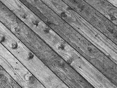 Wood texture close macro view, wooden natural background. Pencil drawn sket.. Stock Photos