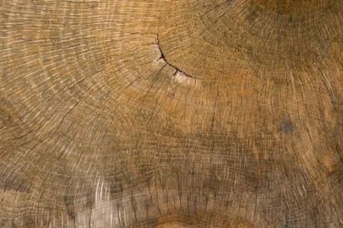 Wood texture close Stock Photos
