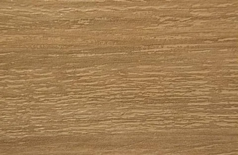Wood texture. Close-up tree. Background with light wood texture. Stock Photos