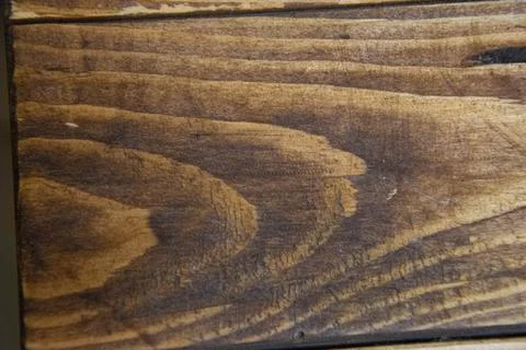 Wood texture. Close-up tree. Background with dark wood texture. Stock Photos