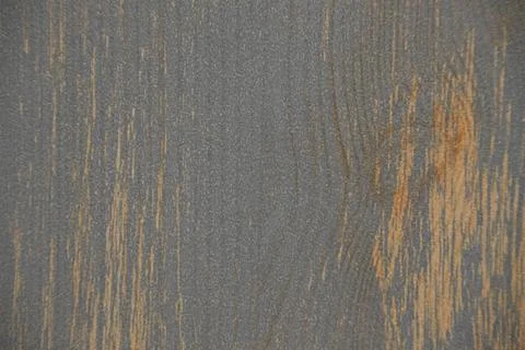 Wood texture. Close-up tree. Background with light wood texture. Stock Photos