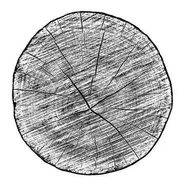 Wood texture cross section of tree rings Stock Illustration