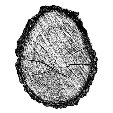 Wood texture cross section of tree rings Stock Illustration