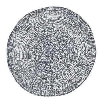 Wood texture cross section of tree rings Stock Illustration