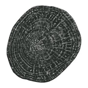 Wood texture cross section of tree rings Stock Illustration
